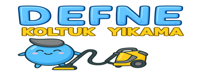 Defne Koltuk Yıkama